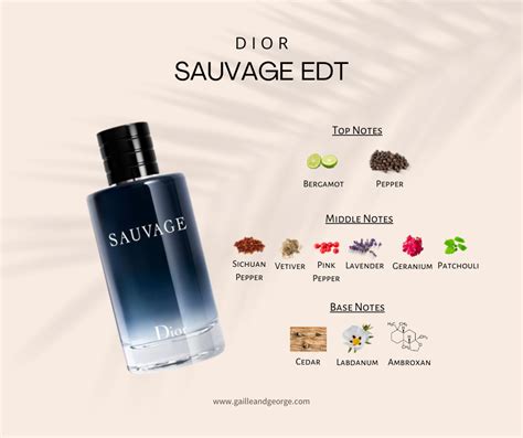 dior sauvage campione|dior sauvage cologne top notes.